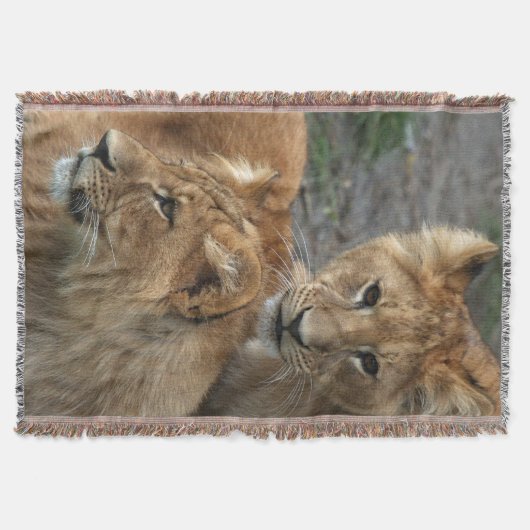 Lion 033 deken (Voorkant)