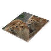 Lion 033 tegeltje (Zijkant)