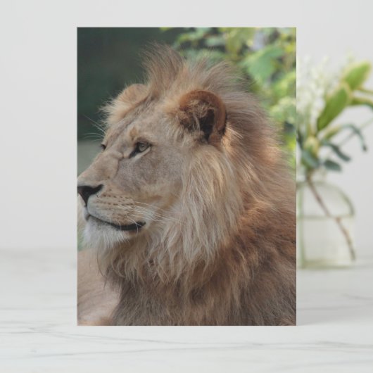 Lion 035 feestdagenkaart (Staand voorkant)