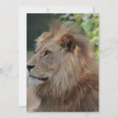 Lion 035 feestdagenkaart (Voorkant)