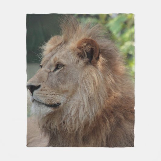 Lion 035 fleece deken (Voorkant)