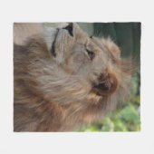 Lion 035 fleece deken (Voorkant (Horizontaal))