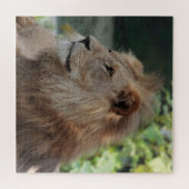 Lion 035 legpuzzel (Horizontaal)