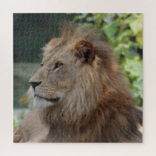 Lion 035 legpuzzel