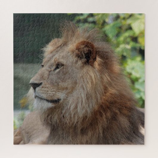 Lion 035 legpuzzel (Verticaal)