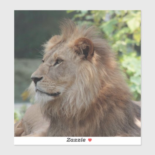 Lion 035 sticker (Vel)