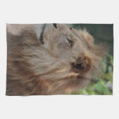 Lion 035 theedoek (Horizontaal)