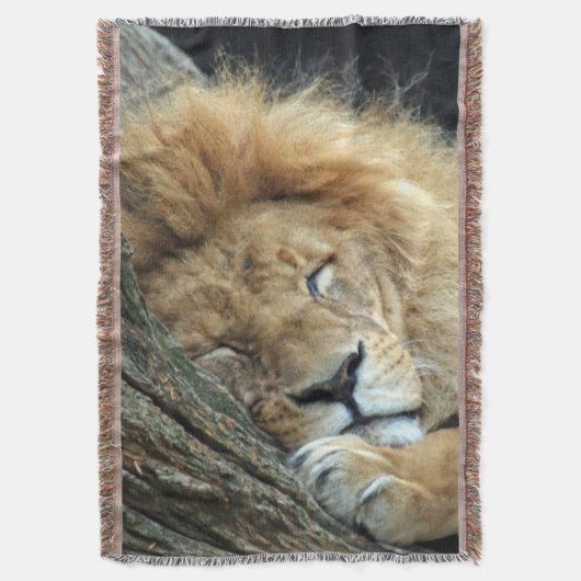 Lion 036 deken (Voorkant Verticaal)