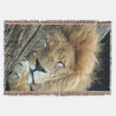 Lion 036 deken (Voorkant)