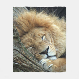 Lion 036 fleece deken