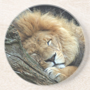 Lion 036 zandsteen onderzetter