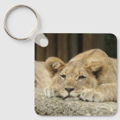Lion 040 sleutelhanger (Voorkant)