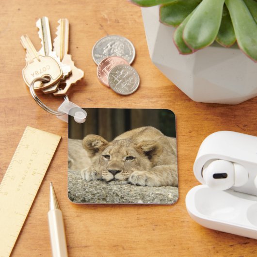 Lion 040 sleutelhanger (Bureau)