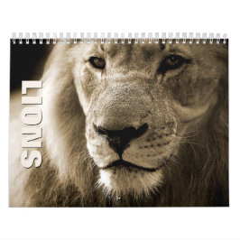 Lion [1] Wall Calendar Kalender