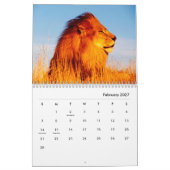 Lion [1] Wall Calendar Kalender (Feb 2027)