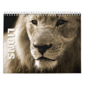 Lion [1] Wall Calendar Kalender (Hoes)