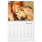 Lion [1] Wall Calendar Kalender (Jan 2026)