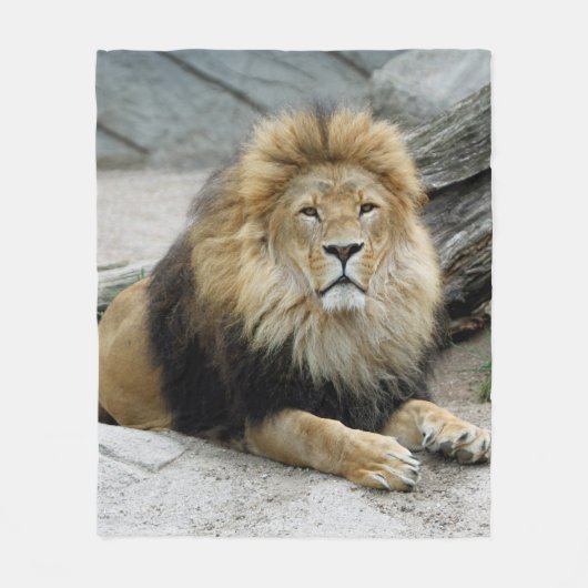 Lion_2014_1001 Fleece Deken (Voorkant)