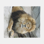 Lion_2014_1001 Fleece Deken (Voorkant (Horizontaal))