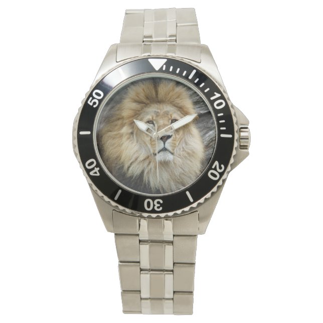 Lion_2014_1001 Horloge (Voorkant)