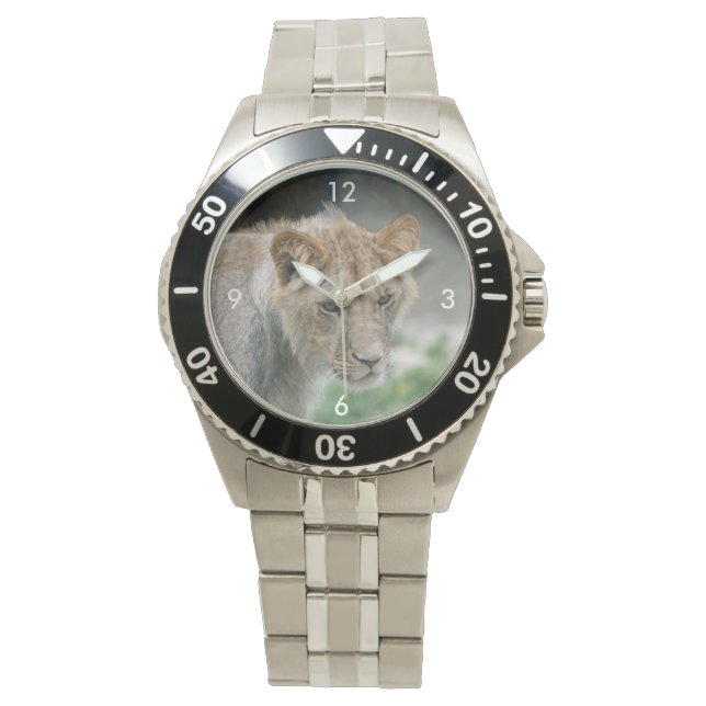 Lion_2014_1101 Horloge (Voorkant)