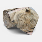 Lion_2014_1201 Stropdas (Opgerold)