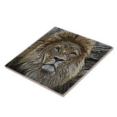 Lion_2015_0501 Tegeltje (Zijkant)