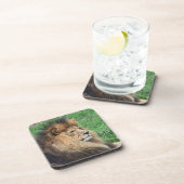 Lion_2015_0701 Drankjes Onderzetter (Rechterzijde)