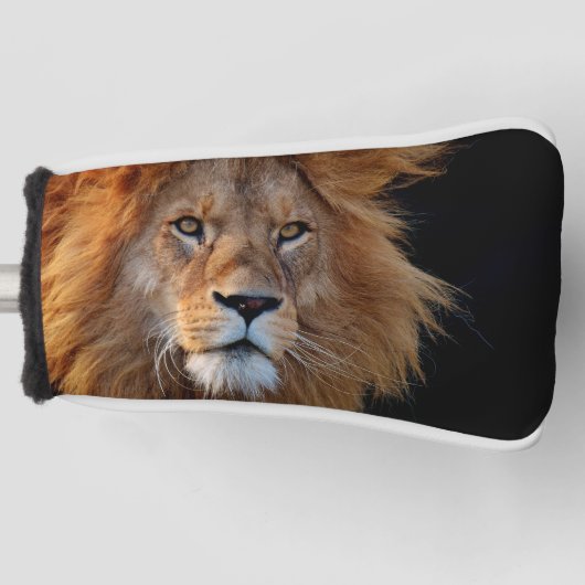 Lion_20180712_by_JAMFoto Golfheadcover (Voorkant)