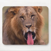 Lion 2 muismat (Voorkant)