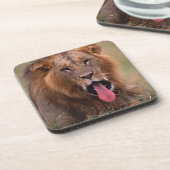 Lion 2 onderzetter (Linkerzijde)