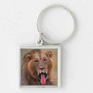 Lion 2 sleutelhanger