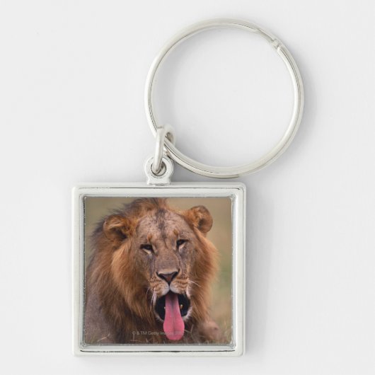 Lion 2 sleutelhanger (Voorkant)