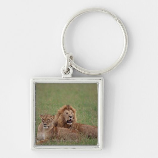 Lion 2 sleutelhanger (Voorkant)