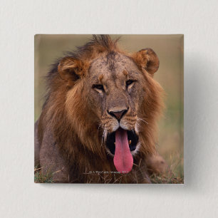 Lion 2 vierkante button 5,1 cm