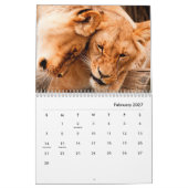 Lion [2] Wall Calendar Kalender (Feb 2027)
