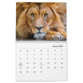 Lion [2] Wall Calendar Kalender (Mar 2027)