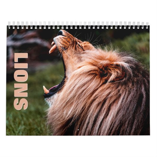 Lion [2] Wall Calendar Kalender (Hoes)