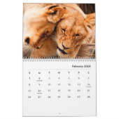 Lion [2] Wall Calendar Kalender (Feb 2026)