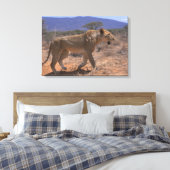 Lion 3 canvas afdruk (Insitu (Slaapkamer))