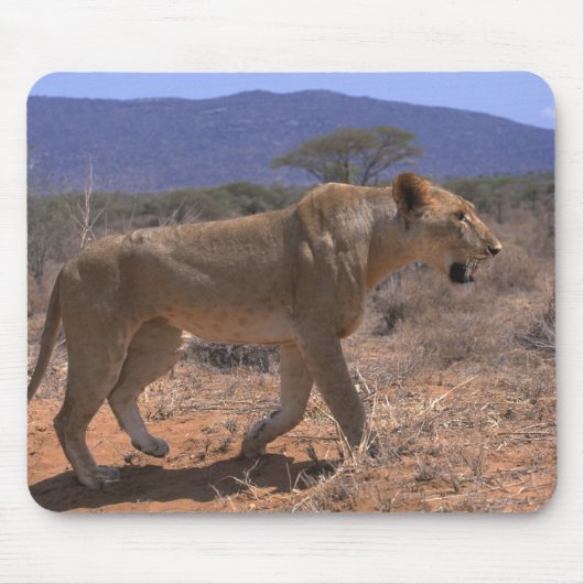 Lion 3 muismat (Voorkant)