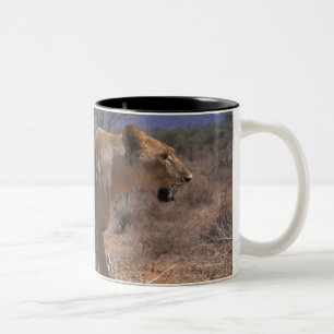 Lion 3 tweekleurige koffiemok
