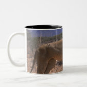 Lion 3 tweekleurige koffiemok (Links)