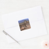 Lion 3 vierkante sticker (Envelop)
