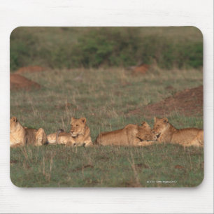 Lion 4 muismat