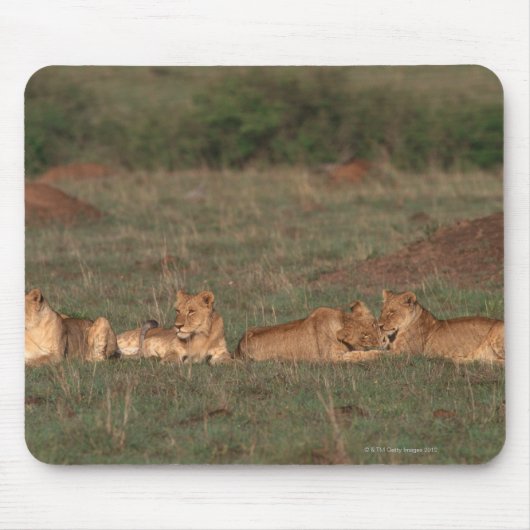 Lion 4 muismat (Voorkant)