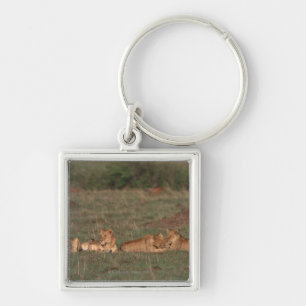 Lion 4 sleutelhanger