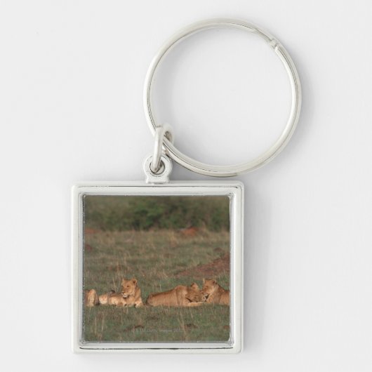 Lion 4 sleutelhanger (Voorkant)