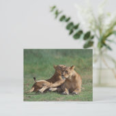 Lion 5 briefkaart (Staand voorkant)