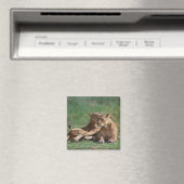 Lion 5 magneet (Insitu (Vaatwasser))